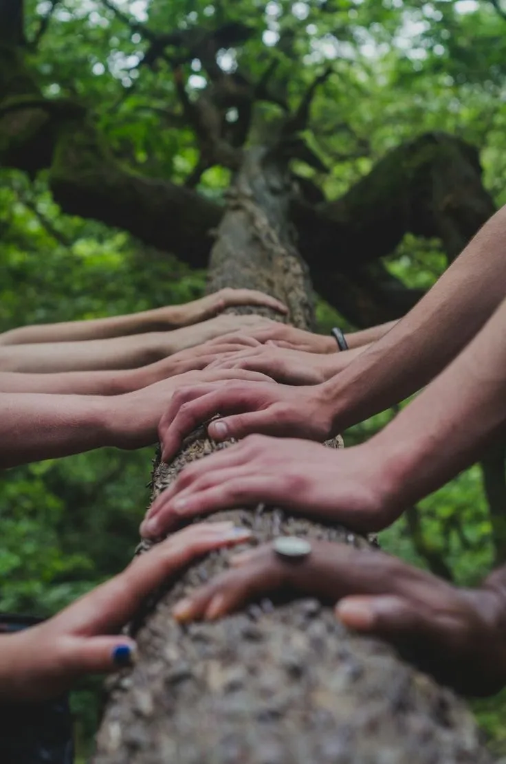 Many hands of different people resting together on a tree trunk